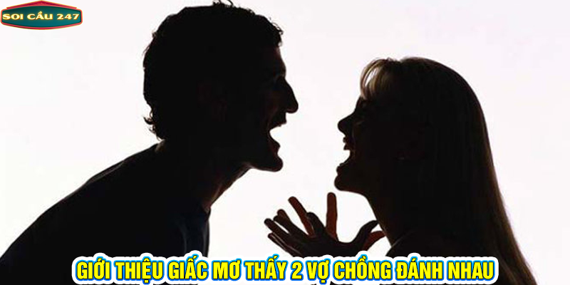 Giới thiệu giấc mơ thấy 2 vợ chồng đánh nhau