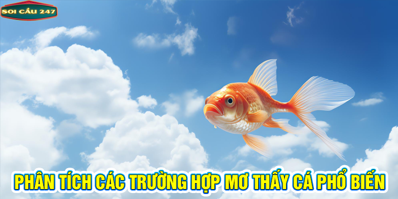 Phân tích các trường hợp mơ thấy cá phổ biến