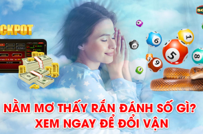 Nằm mơ thấy rắn đánh số gì? Xem ngay để đổi vận