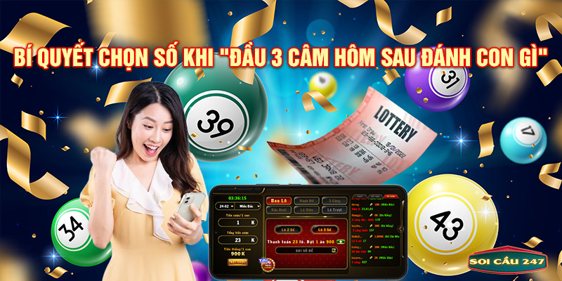 Bí quyết chọn số khi đầu 3 câm hôm sau đánh con gì