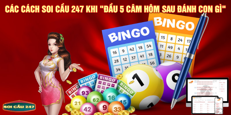 Các cách soi cầu 247 khi đầu 5 câm hôm sau đánh con gì