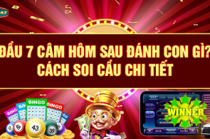 Đầu 7 câm hôm sau đánh con gì? và Cách soi cầu chi tiết