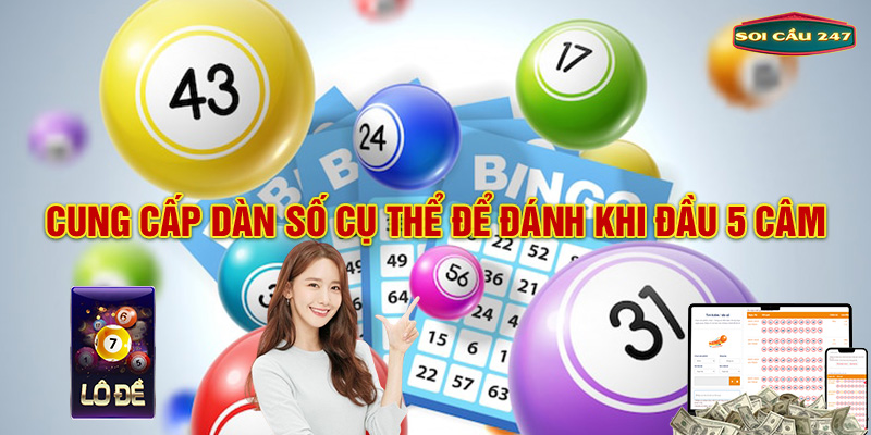 Cung cấp dàn số cụ thể để đánh khi đầu 5 câm