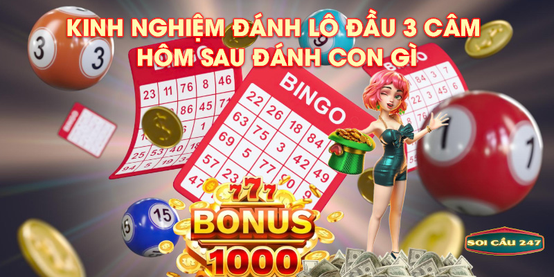 Kinh nghiệm đánh lô đầu 3 câm hôm sau đánh con gì