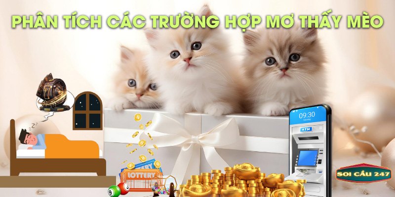 Phân tích các trường hợp mơ thấy mèo