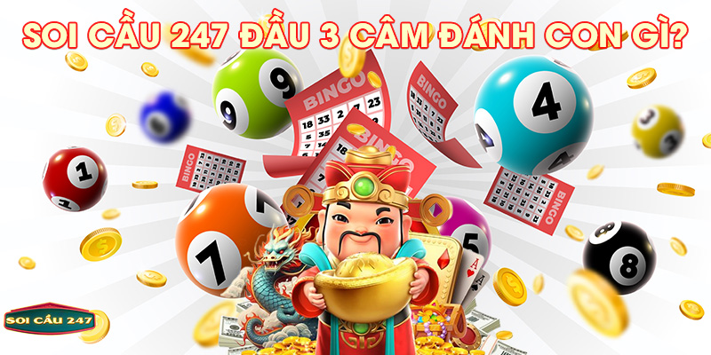 Soi cầu 247 đầu 3 câm đánh con gì?