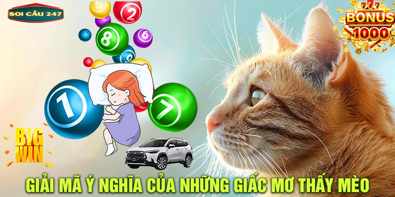 Giải mã ý nghĩa của những giấc mơ thấy mèo